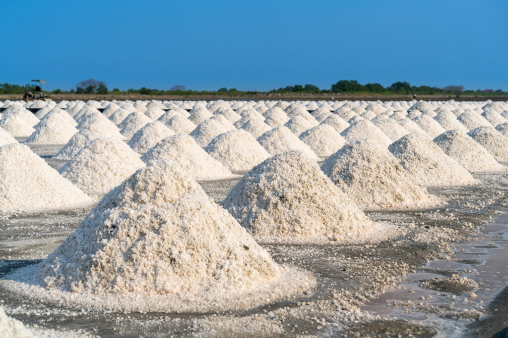 GRGH — Dakhla Salt Mine